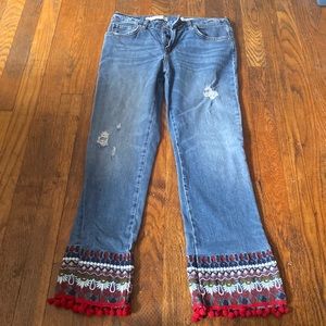 Pillcro embroidered jeans (size 27)